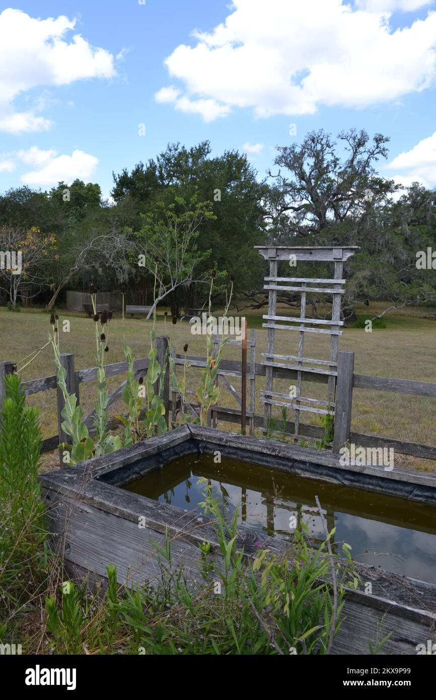 Brazos Bend State Park, Houston, Texas Stock Photo Alamy
