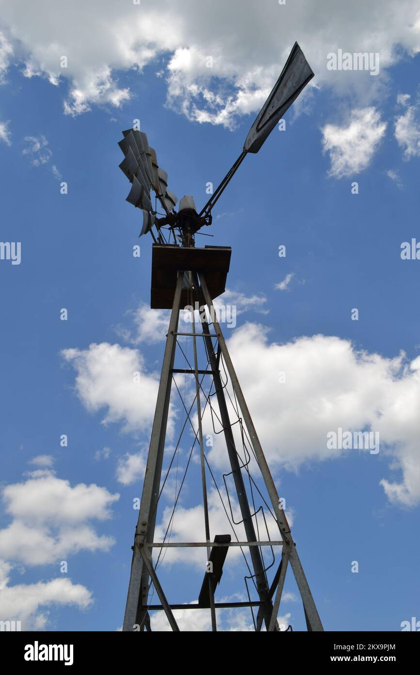 Brazos Bend State Park, Houston, Texas Stock Photo Alamy