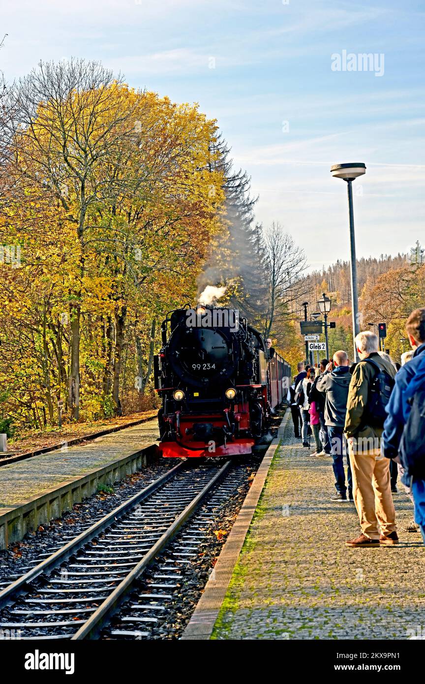 Harz Schmalspurbahn zum Brocken Stock Photo