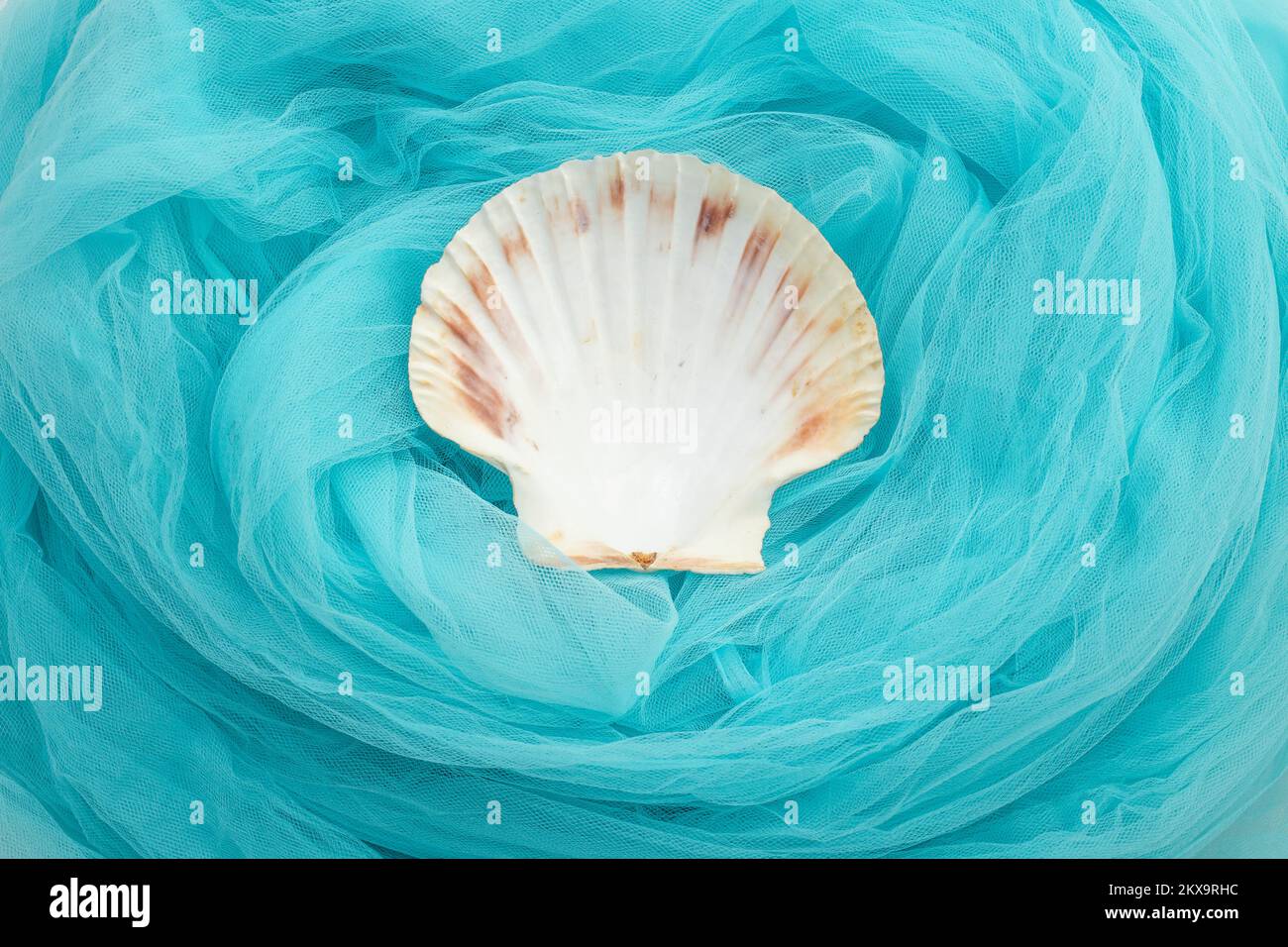 Sea shell on turquoise blue fabric texture. Backdrop for product placement. Soft focus close up Stock Photo