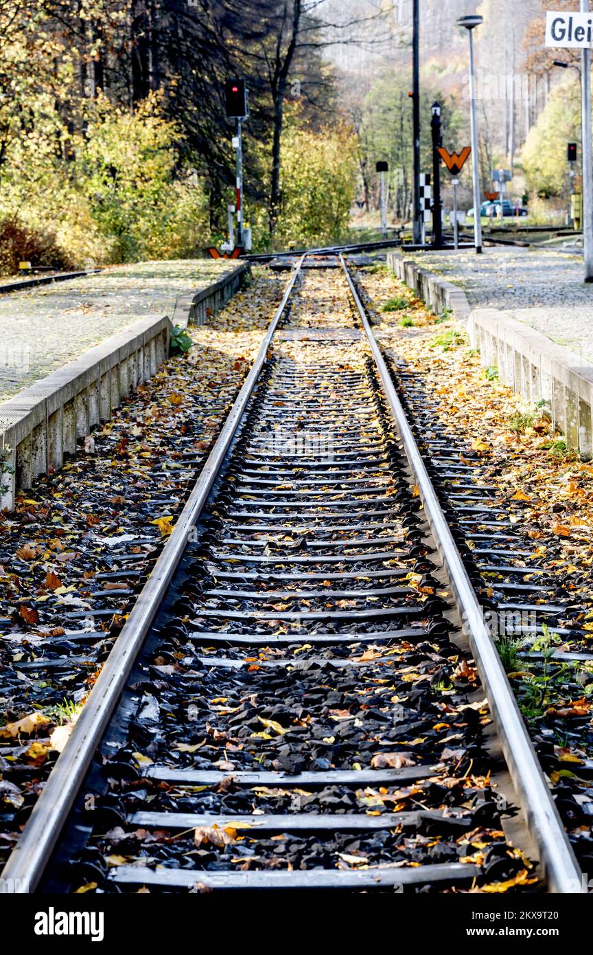 Harz Schmalspurbahn zum Brocken Stock Photo