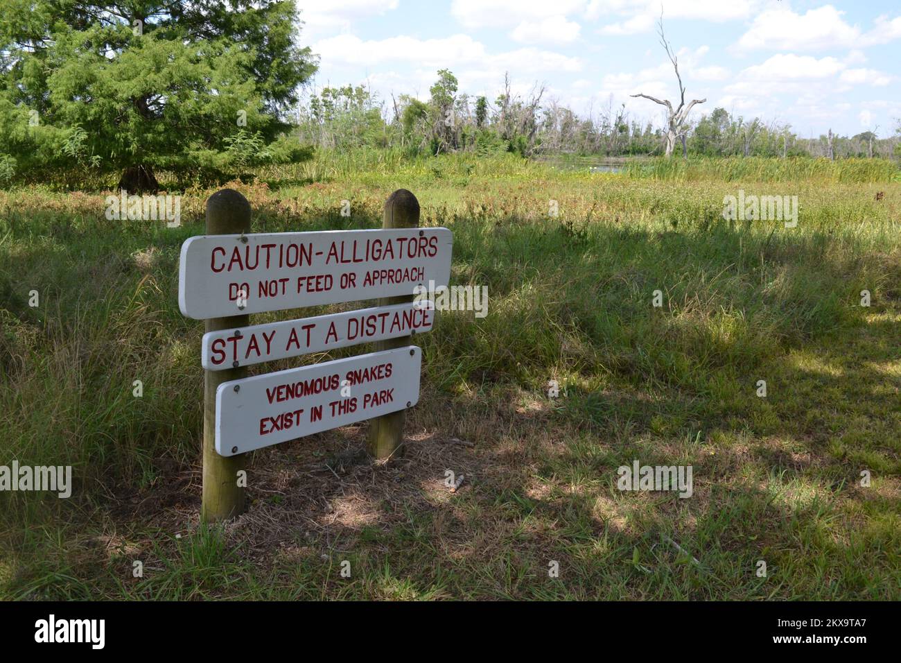 Brazos Bend State Park, Houston, Texas Stock Photo Alamy