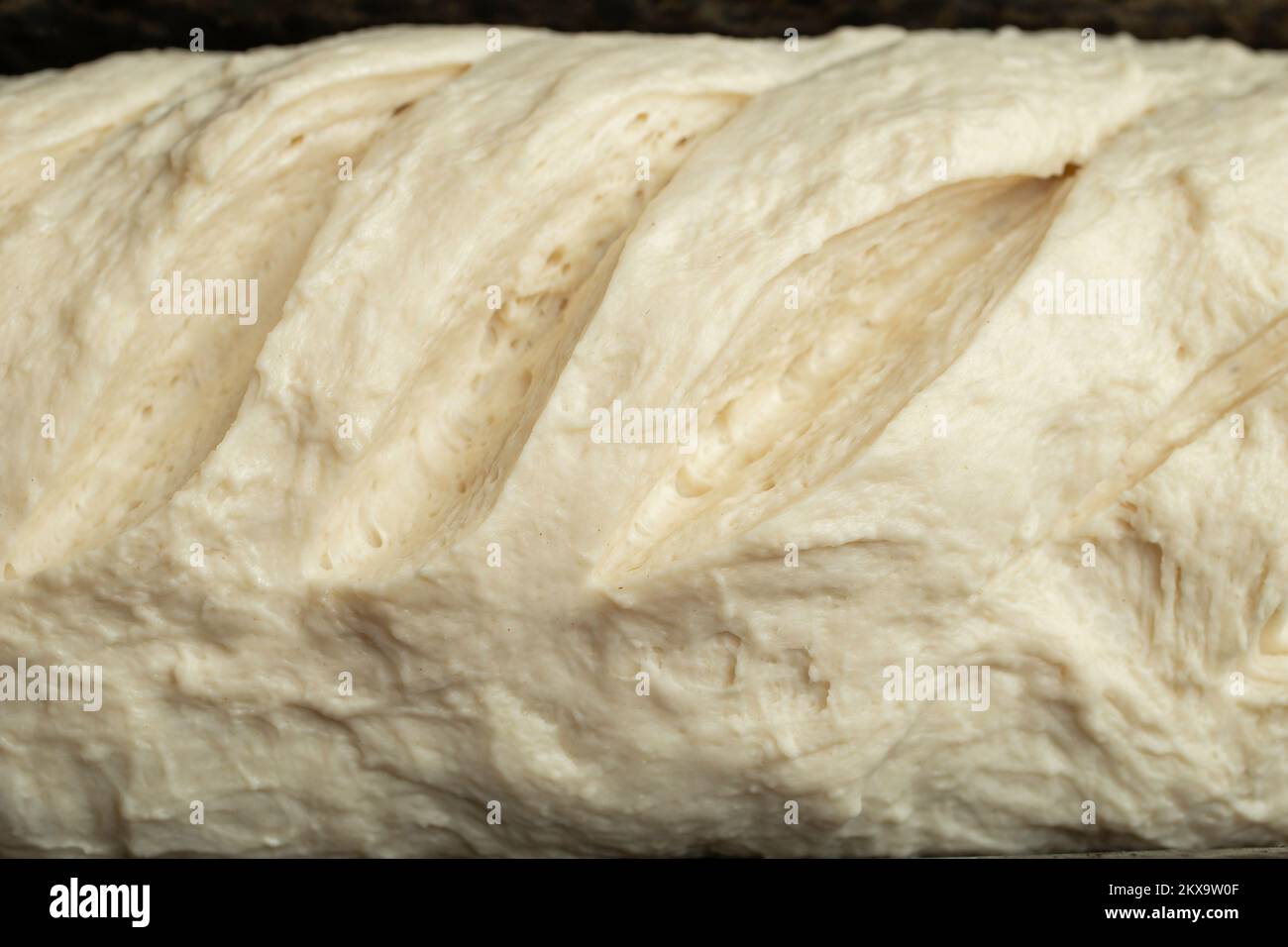raw bread dough with diagonal cuts decorations, soft focus close up