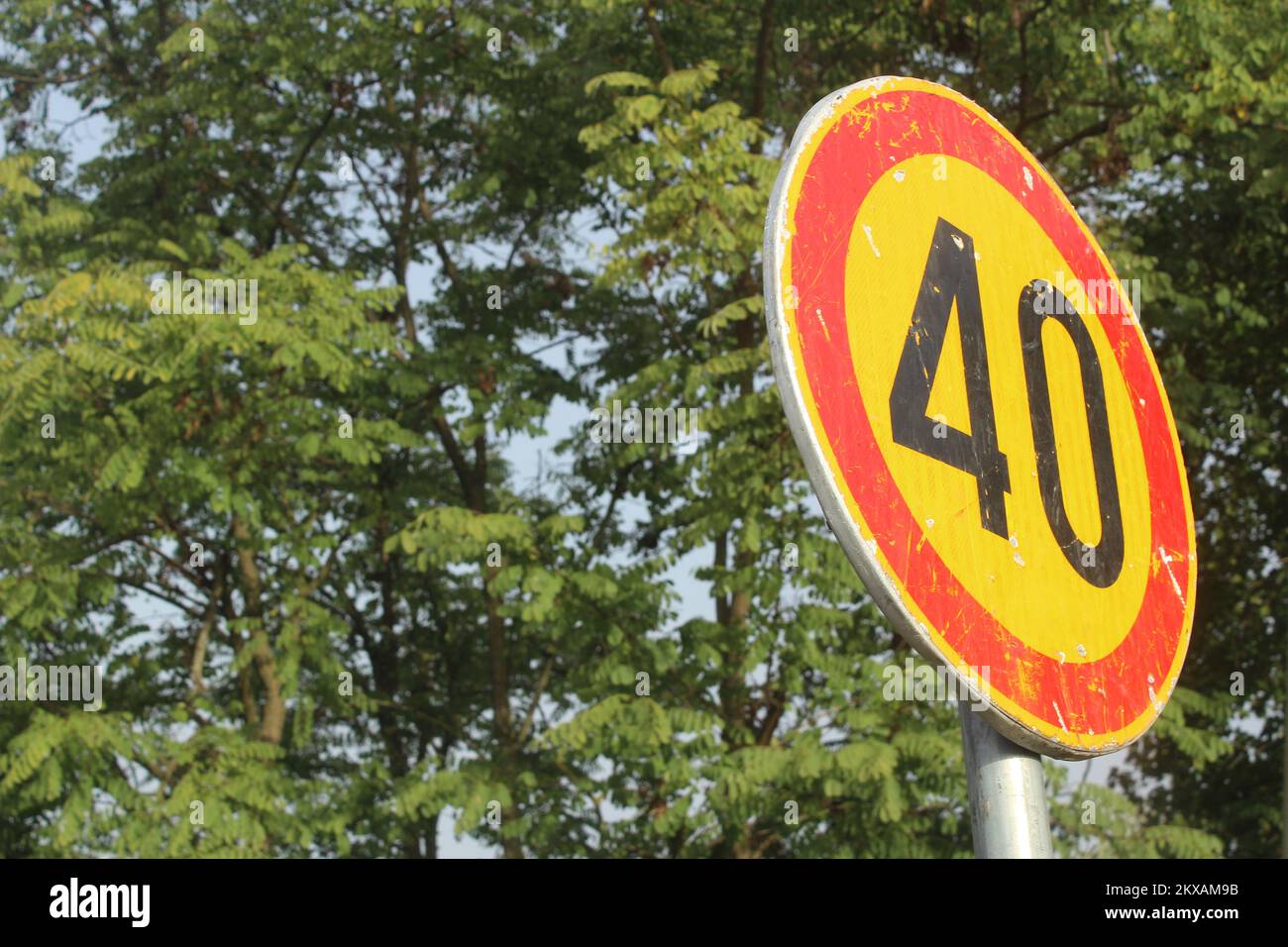 Red and yellow speed limit sign, worn out, summer day, with a green