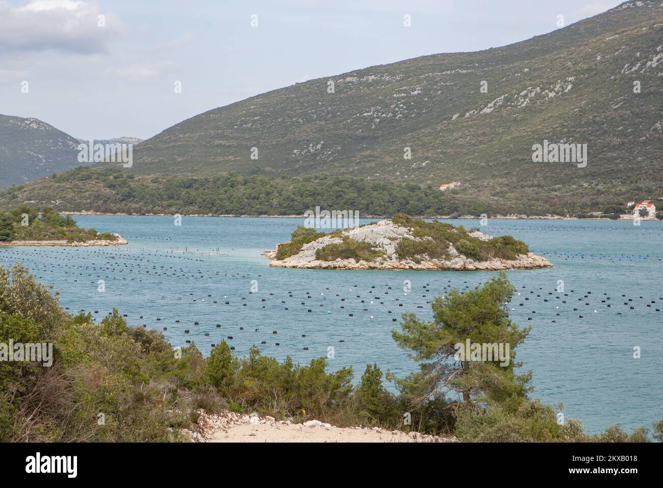 Oyster farming system hires stock photography and images Alamy