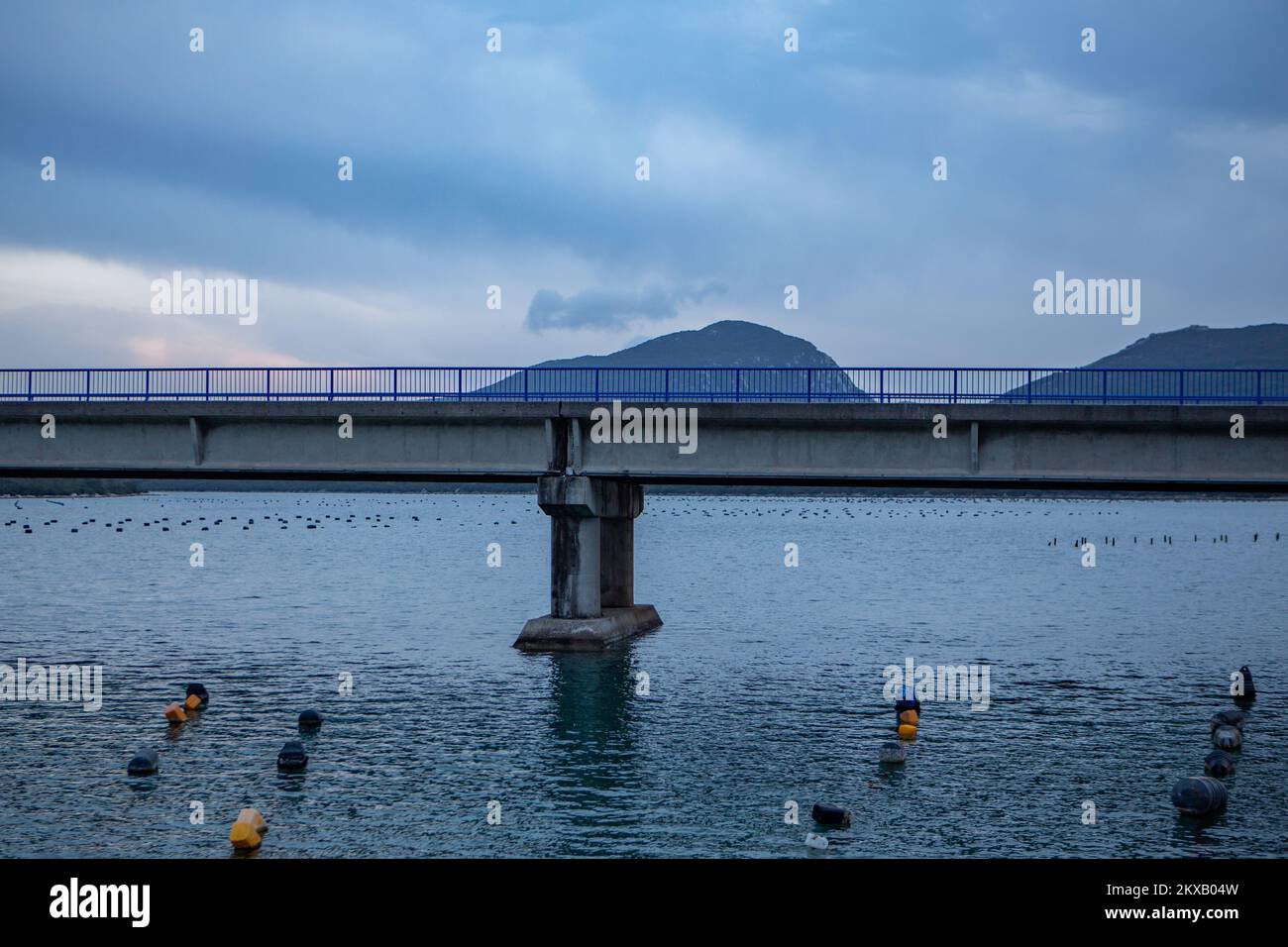 Oyster farming system hires stock photography and images Alamy