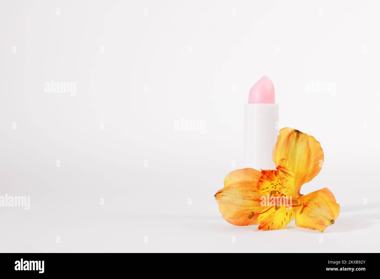 White tube of pink lip balm or gloss, to protect and nourish the lips, near the astelmeria flower, isolated on a white background. Spring season cosme Stock Photo