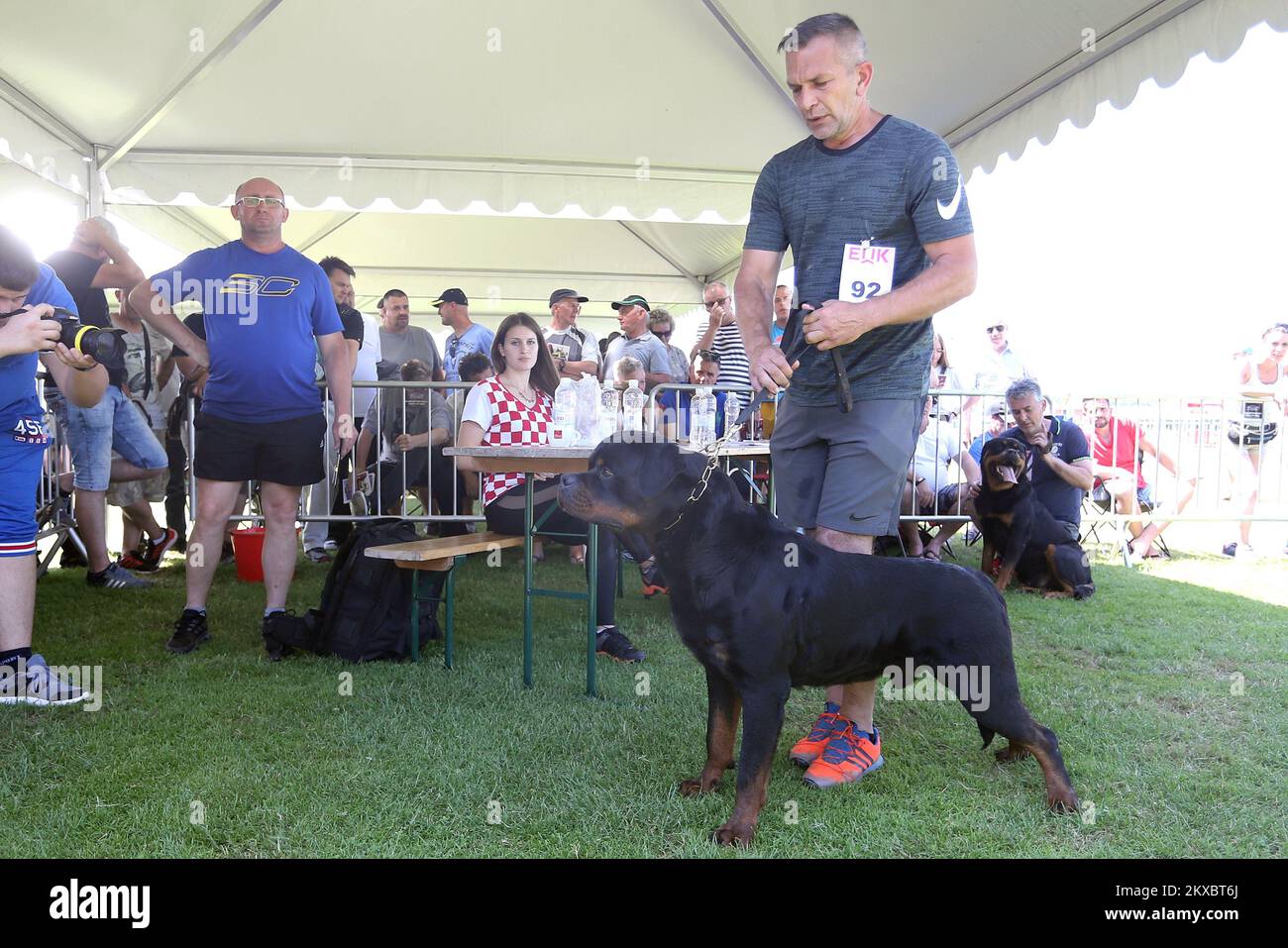 Rottweiler hotsell shows 2019
