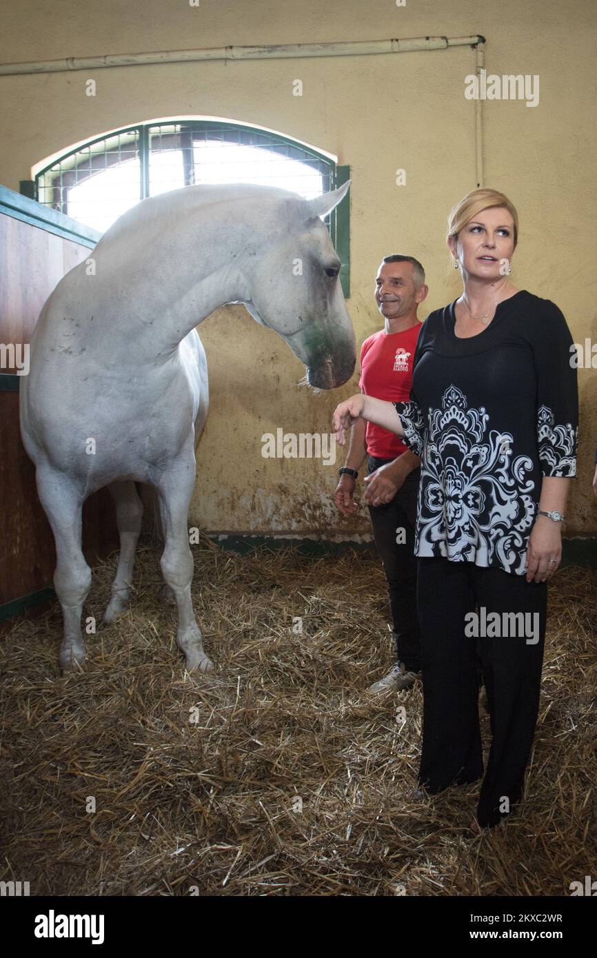07-07-2019-djakovo-croatia-president-of-croatia-kolinda-grabar