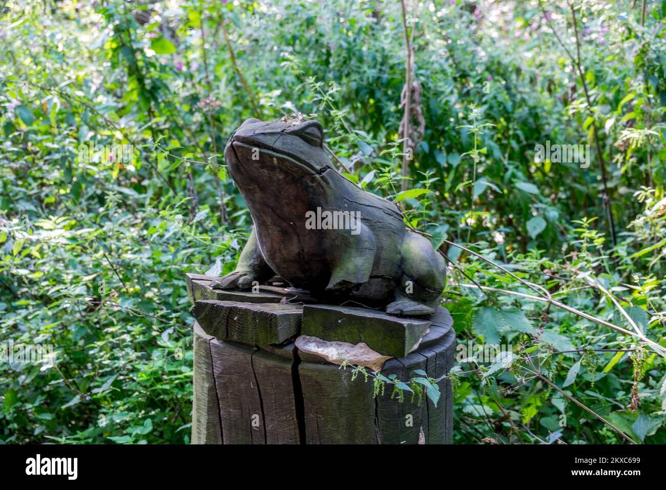 Wooden carved frog in country park. Stock Photo