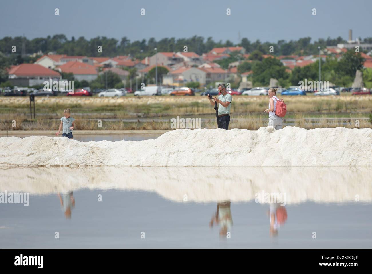 02.08.2019., Nin, Croatia - Solana Nin opens their doors to all visitors. With free admission, you can feel free to look around the salt fields and educate yourself about the process and stages of its creation. Whit open arms awaits you a richness of flora and fauna where you will have the opportunity to observe more than 250 different bird speices, crabs and many plant saltmarshes specific only for peloid soil. Photo: Dino Stanin/PIXSELL  Stock Photo