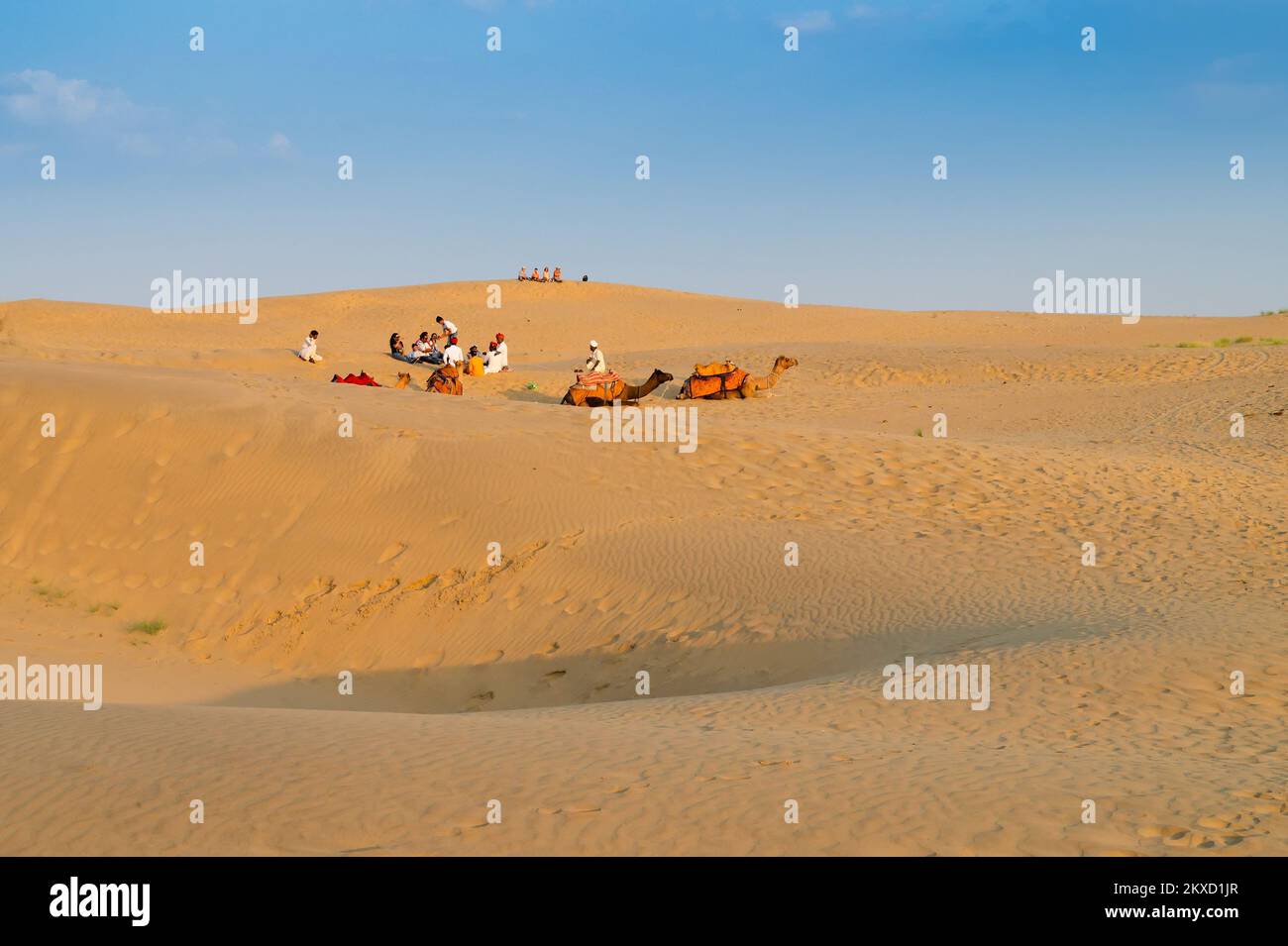 Tourists with camels, Camelus dromedarius, at sand dunes of Thar desert, Rajasthan, India. Camel riding is a favourite activity amongst all tourists v Stock Photo