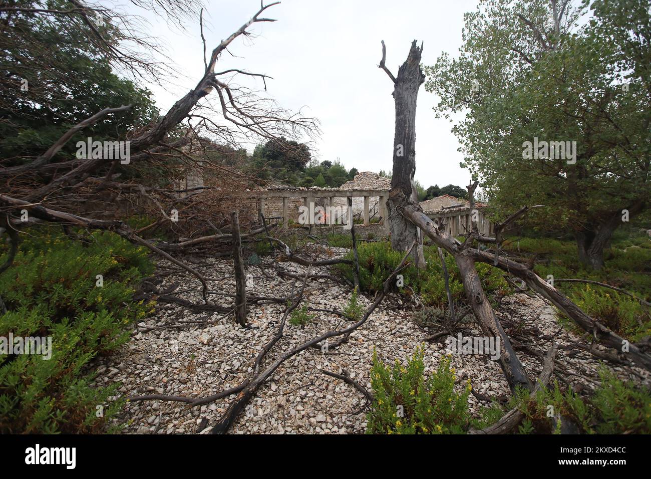 29.09.2019., Croatia, Sveti Grgur- Sveti Grgur, Saint Gregory, is an ...