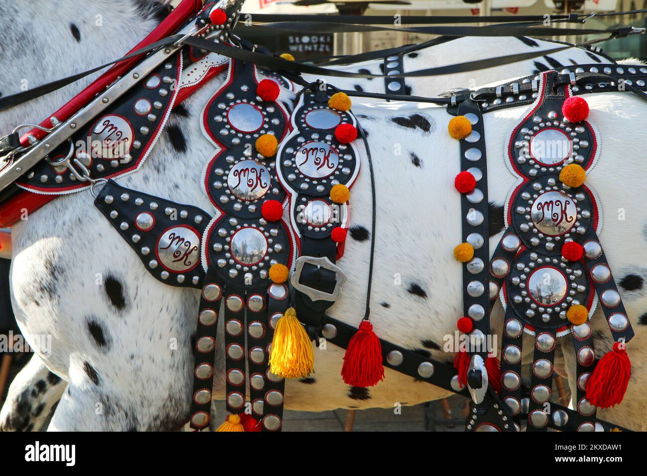The detail of the decorative traditional horse harness. Stock Photo