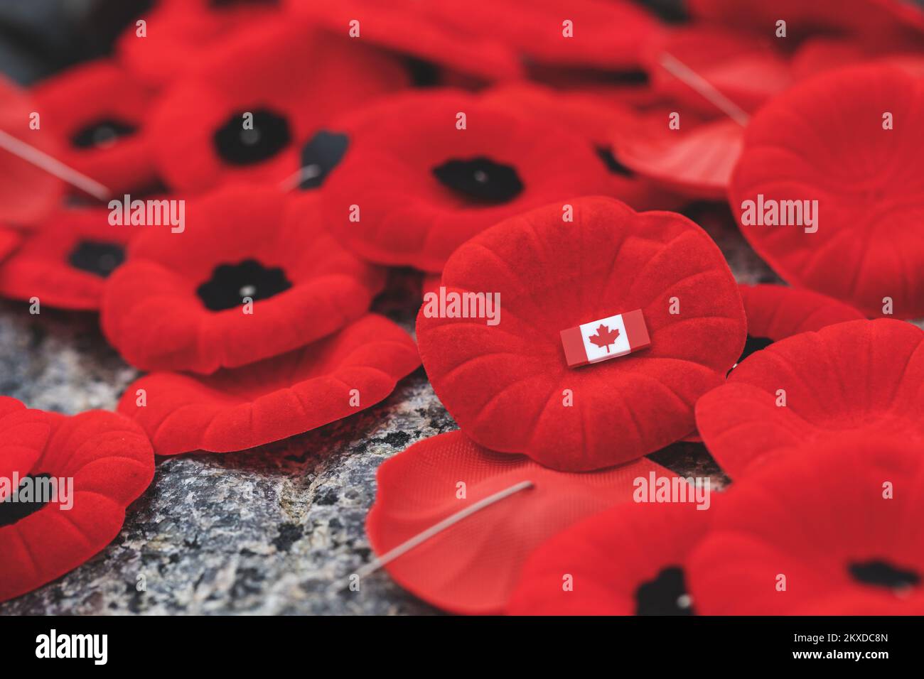 Remembrance Day red poppy flowers on Tomb of the Unknown Soldier in