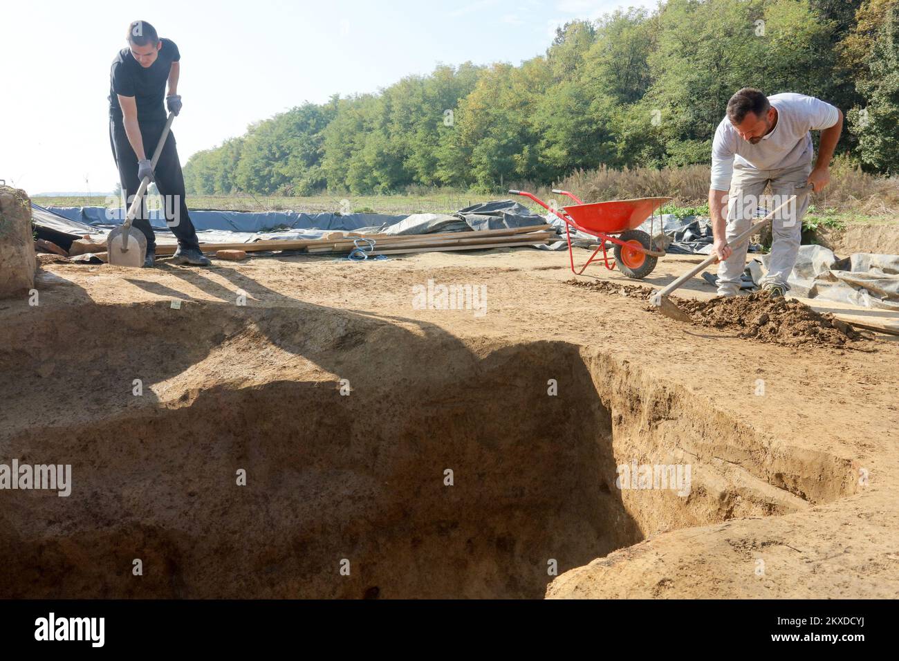 16.10.2019., Stari Jankovci, Croatia - On the site of Jankovacka dubrava near the village of Stari Jankovci, an extraordinary archaeological find of Roman chariots was found, two-wheelers with harnessed horses dating from around the 3rd century AD. Photo: Dubravka Petric/PIXSELL  Stock Photo