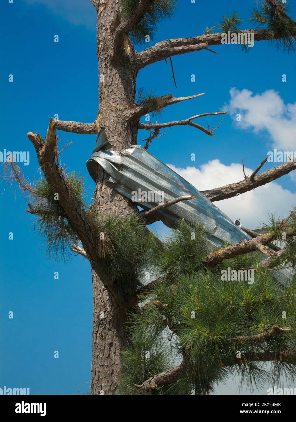 Tornado Hackleburg, Ala. , July 19, 2011 Almost 90 days after the