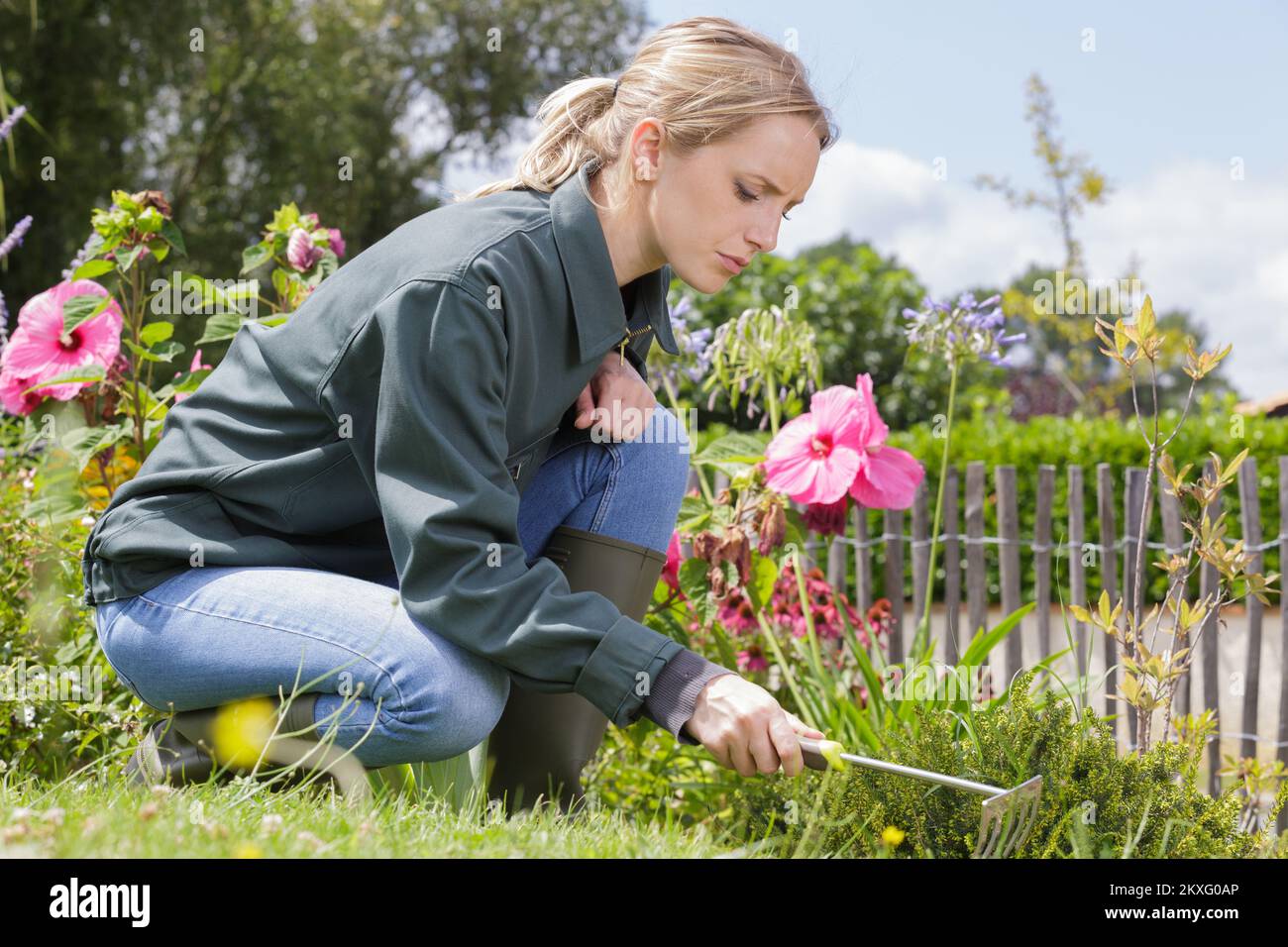 female gardener weeding flower beds Stock Photo Alamy