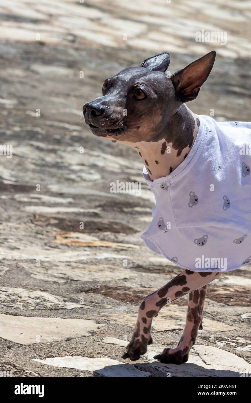 Prone to sunburn hires stock photography and images Alamy