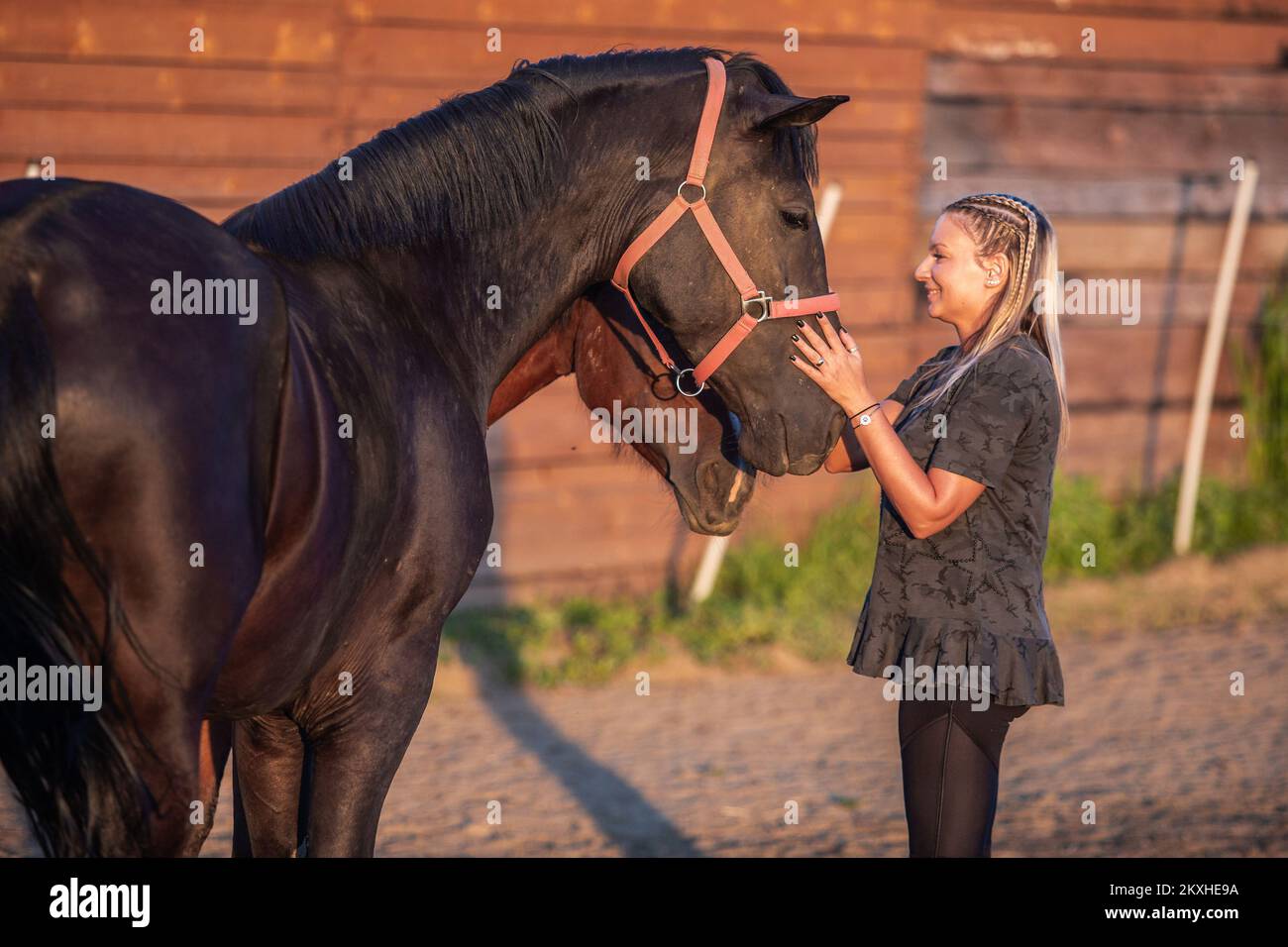 Ranch owner Suncica Tijardovic Deze with mare Zita and therapy horse Pero in Osijek, Croatia on July 10, 2020. The mare Zita united Osijek, Slavonia, and even the whole of Croatia. Thanks to donations, she was bought from the owner until recently and found a new home on a ranch in the Osijek suburb of Tvrdjavica. She was thus saved from the slaughterhouse. Zita is four years old and is of the Hungarian nonius type, quite rare. The number 1546 is written in the booklet, which means that only 1546 nonius have been registered in Croatia since the beginning of our country. It is a breed that, inte Stock Photo