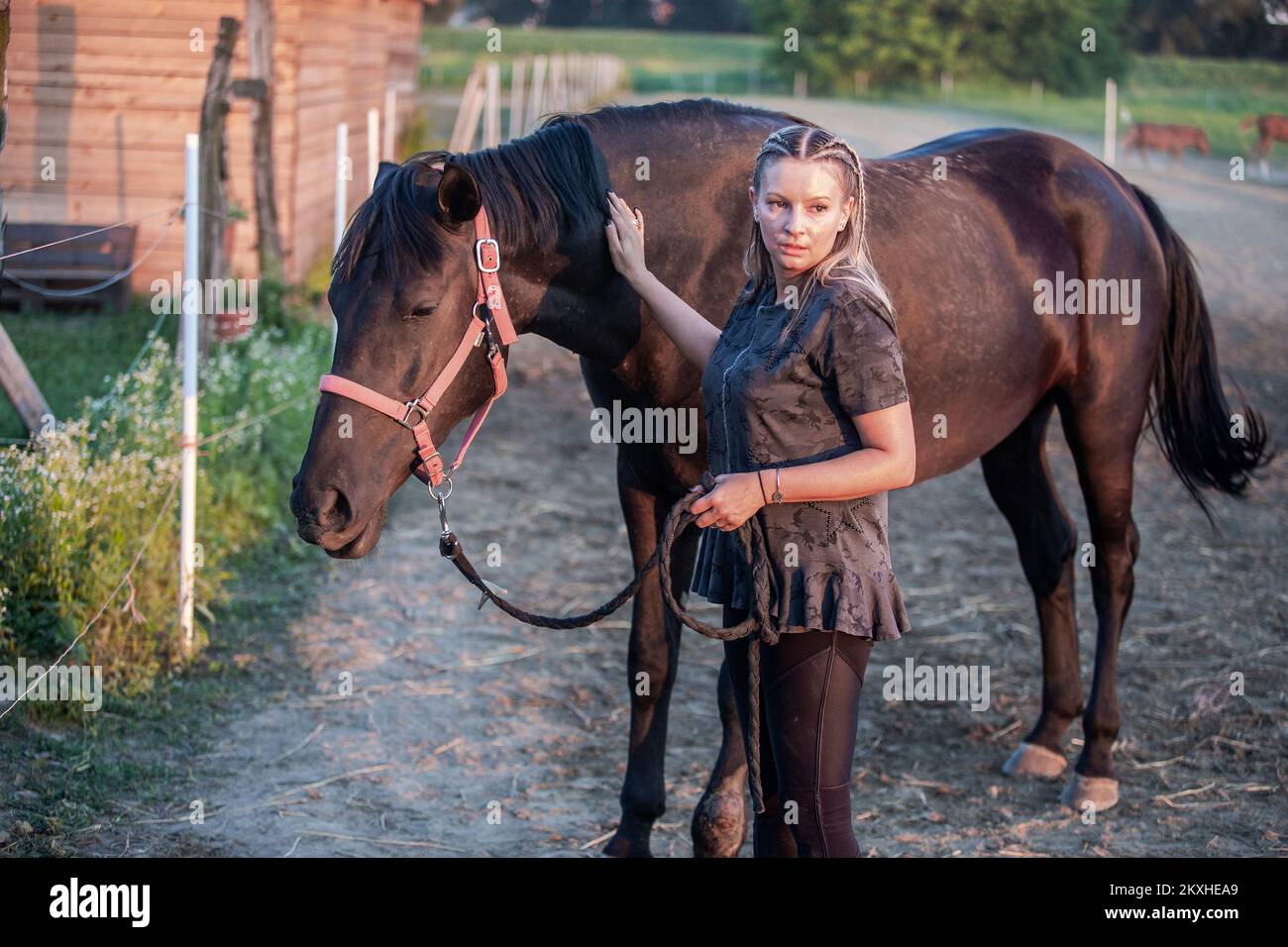 Tijardovic hi-res stock photography and images - Alamy