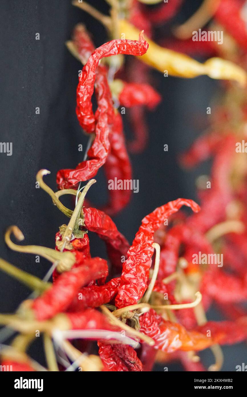 Guinness World Records Crowns a New Hottest Pepper: Pepper X