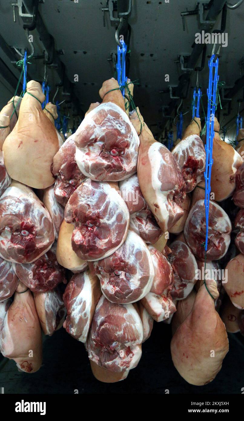 Ham legs are pictured during a salting proces before dry-curing in Bristani Donji village near Sibenik, Croatiaon October 15, 2020. Ham to be properly dry-cured is needed roughley 150 day. Photo: DUsko Jaramaz/PIXSELL Stock Photo