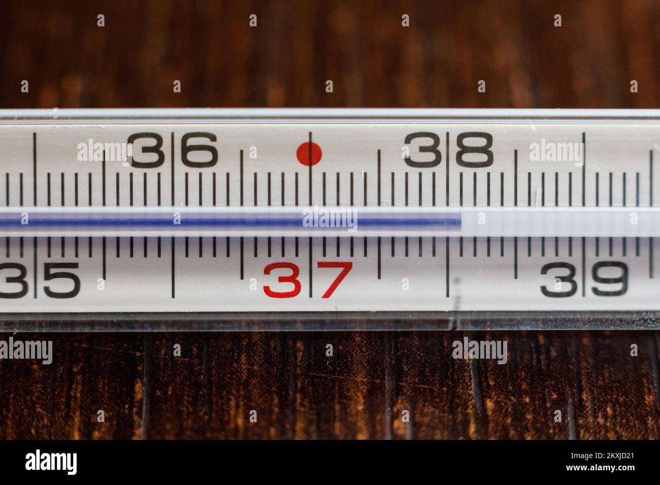 Gallium thermometer in Zagreb, Croatia on 29. October, 2020. Photo ...