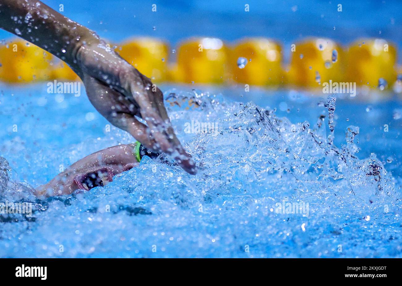 Serbian swimmer Stefan Sorak during 48th International Swimming Meeting