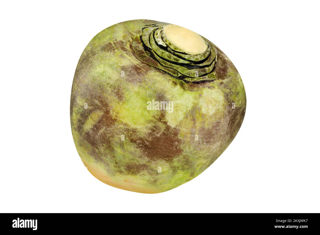 1 rutabaga swede isolated on white background Stock Photo Alamy