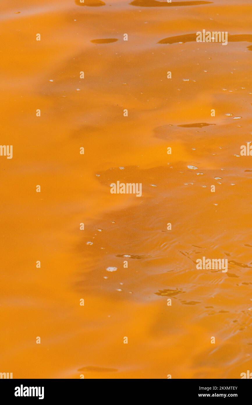 Photo taken on March 29 shows 'red tide', algae bloom in beach in Pula, Croatia. Red tide is a phenomenon caused by algal blooms during which algae become so numerous that they discolor coastal waters. Photo: Srecko Niketic/PIXSELL Stock Photo