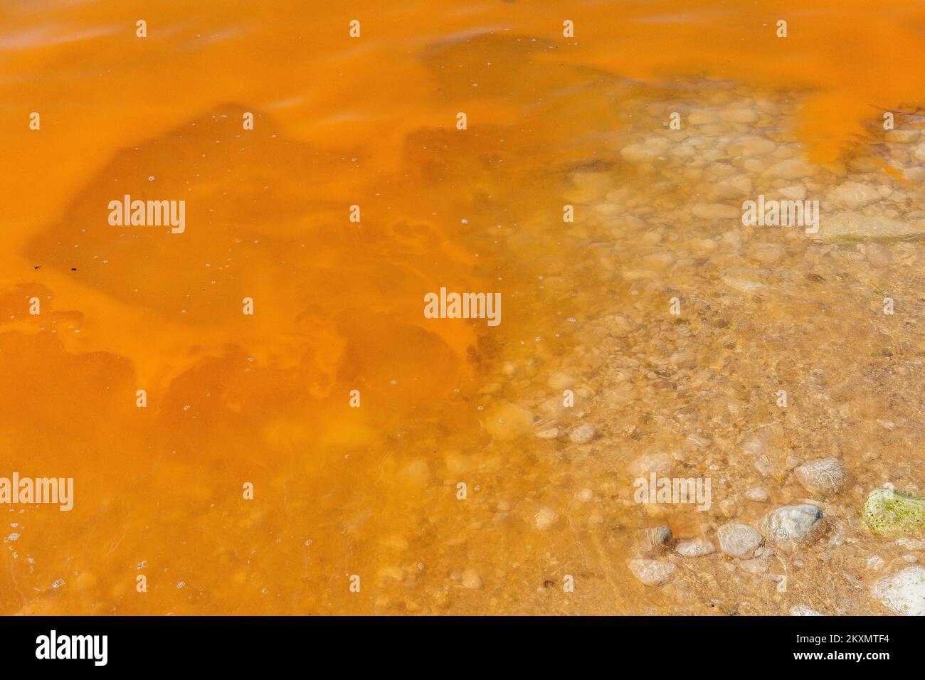 Photo taken on March 29 shows 'red tide', algae bloom in beach in Pula, Croatia. Red tide is a phenomenon caused by algal blooms during which algae become so numerous that they discolor coastal waters. Photo: Srecko Niketic/PIXSELL Stock Photo