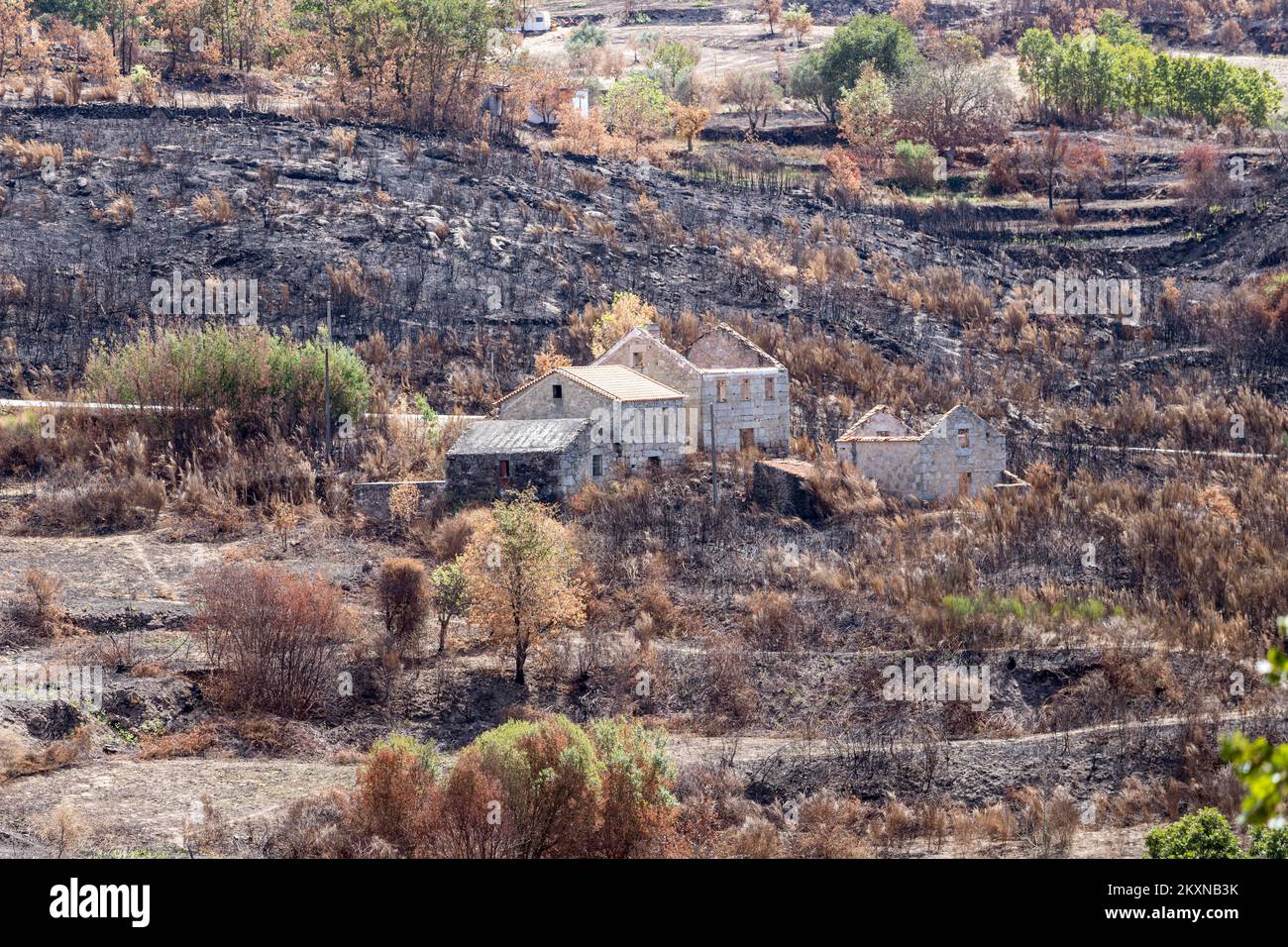 Lifeless territory after strong fire in Portugal. Linhares da Beira, Celorico da Beira , Guarda District, Portugal Stock Photo