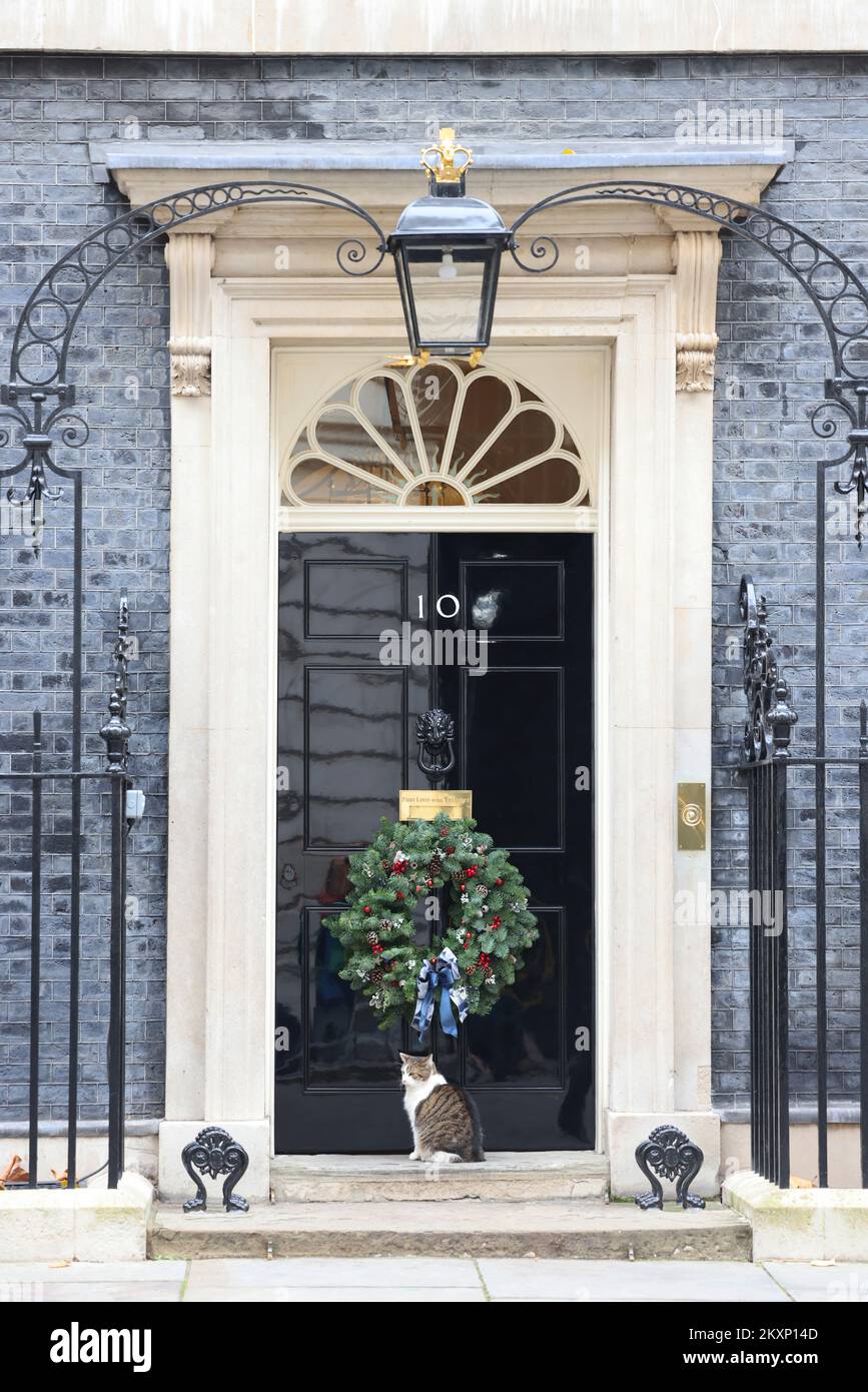 Larry the famous cat outside Number 10 Downing Street with the Christmas wreath up for the festive season, London, UK Stock Photo