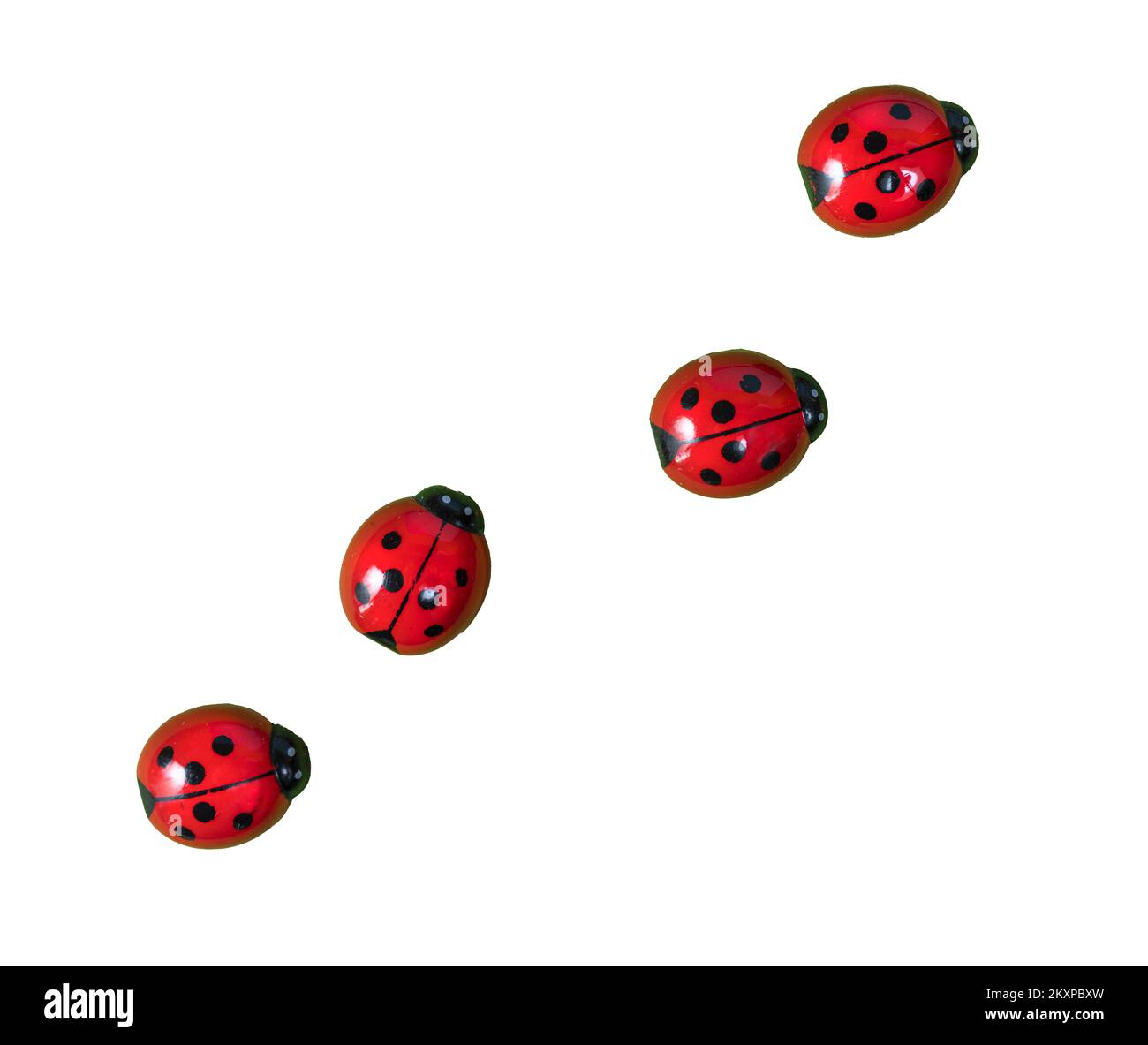 view from above of some ladybugs on a transparent surface Stock Photo