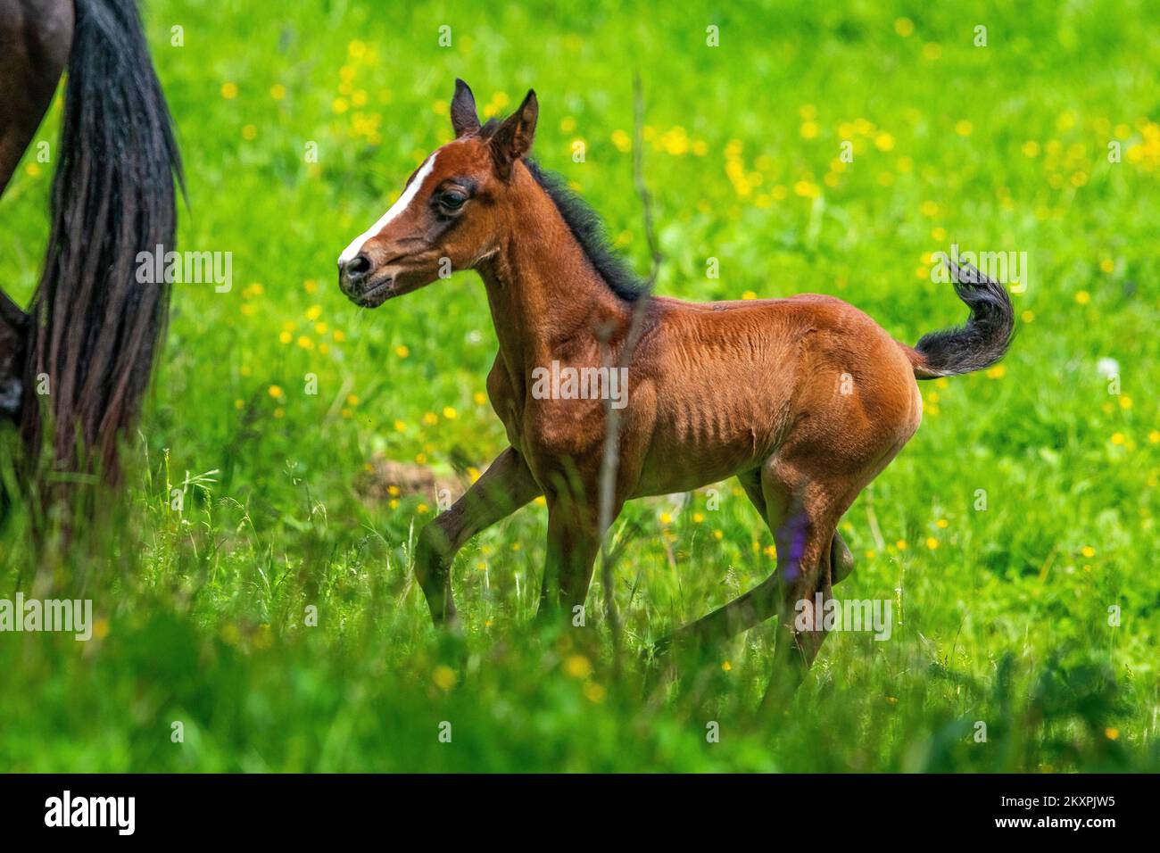 Enjoy yourself hi-res stock photography and images - Alamy