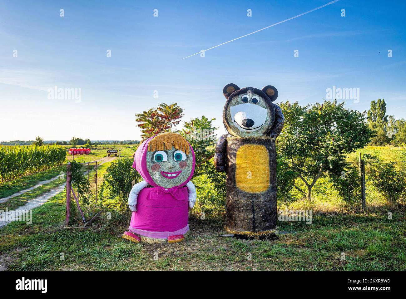 Cartoon characters Masha and the Bear made of hay bales seen at the  entrance to Jelisavac near Nasice, in Croatia, on Aug 13, 2021, Photo:Davor  Javorovic/PIXSELL Stock Photo - Alamy