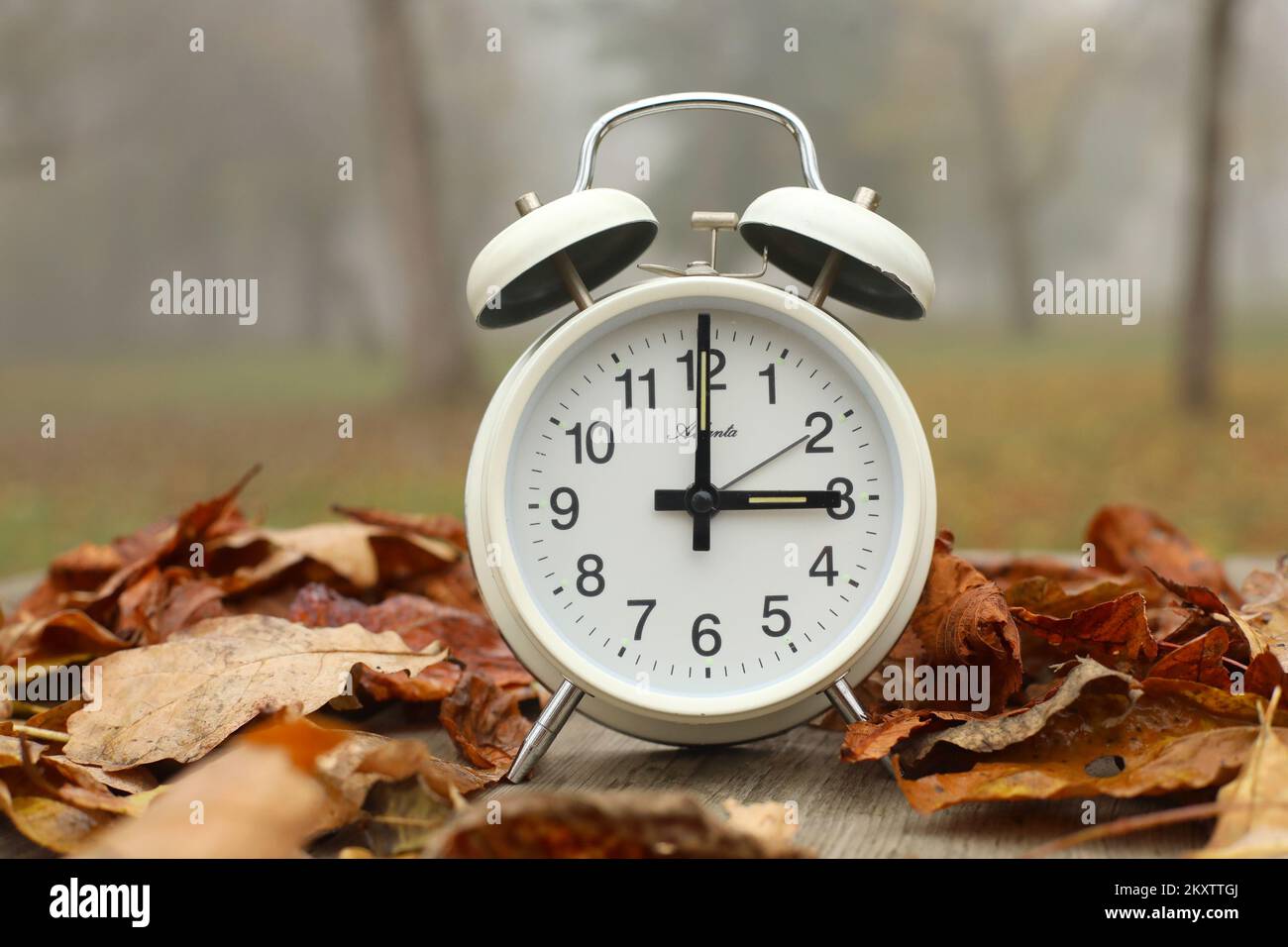 Illustration on the subject of time change, alarm clock in autumn leaves.  Every year in autumn, the time is set back from 3:00 am to 2:00 am by one  hour. This year