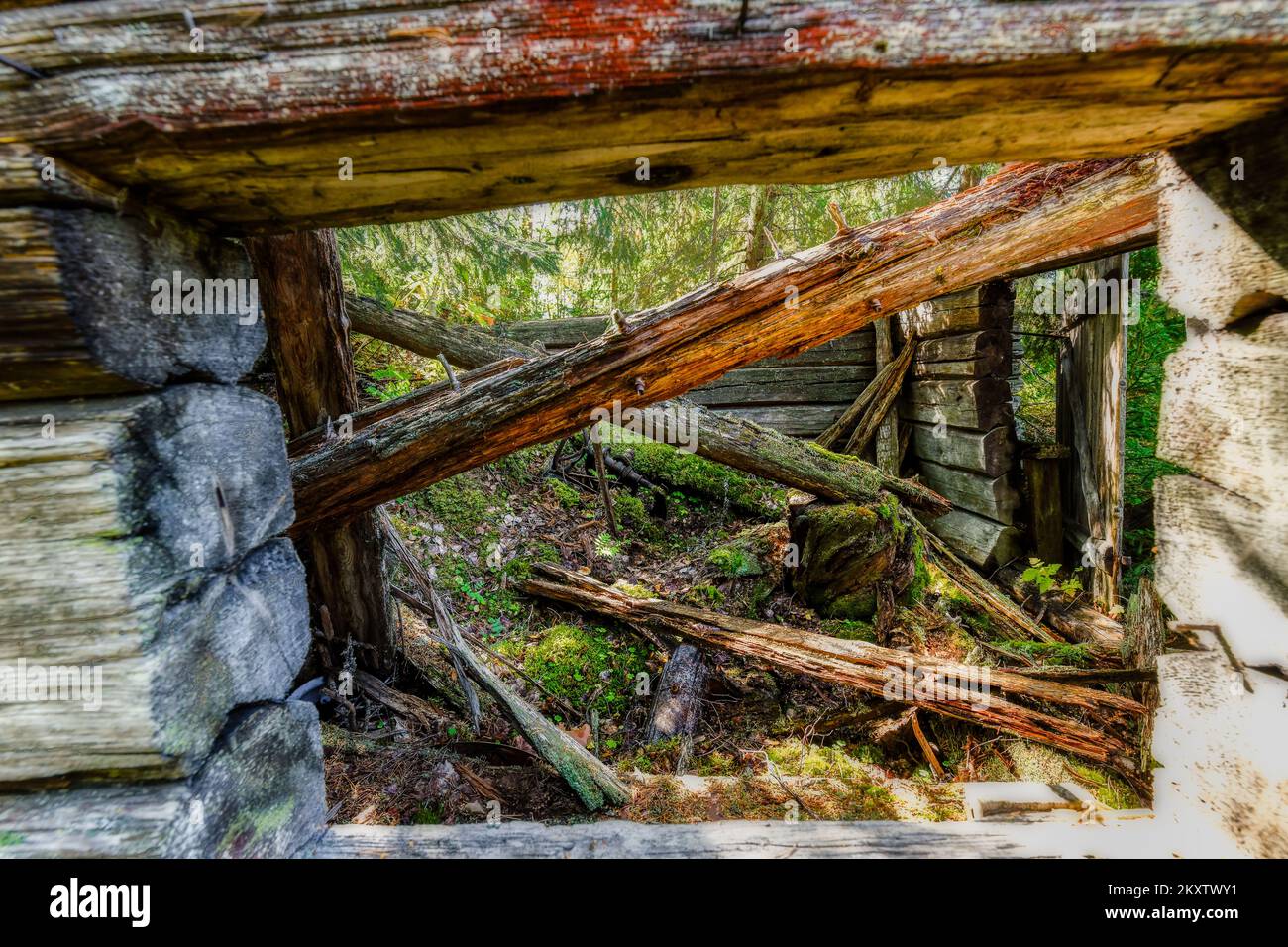 damaged cottage in an forest landscape Stock Photo Alamy