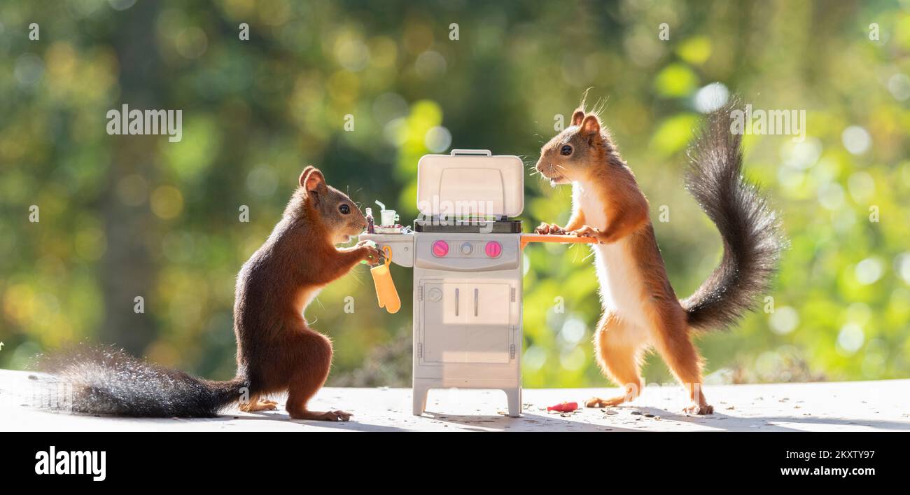 Grilled Squirrel