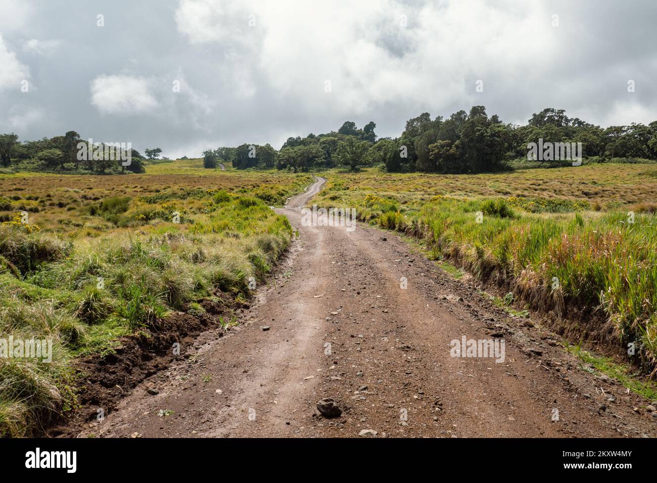 A dirt road against a mountain background at Chogoria Route, Mount