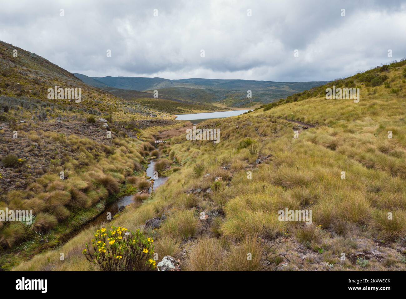 Nithi river hi-res stock photography and images - Alamy