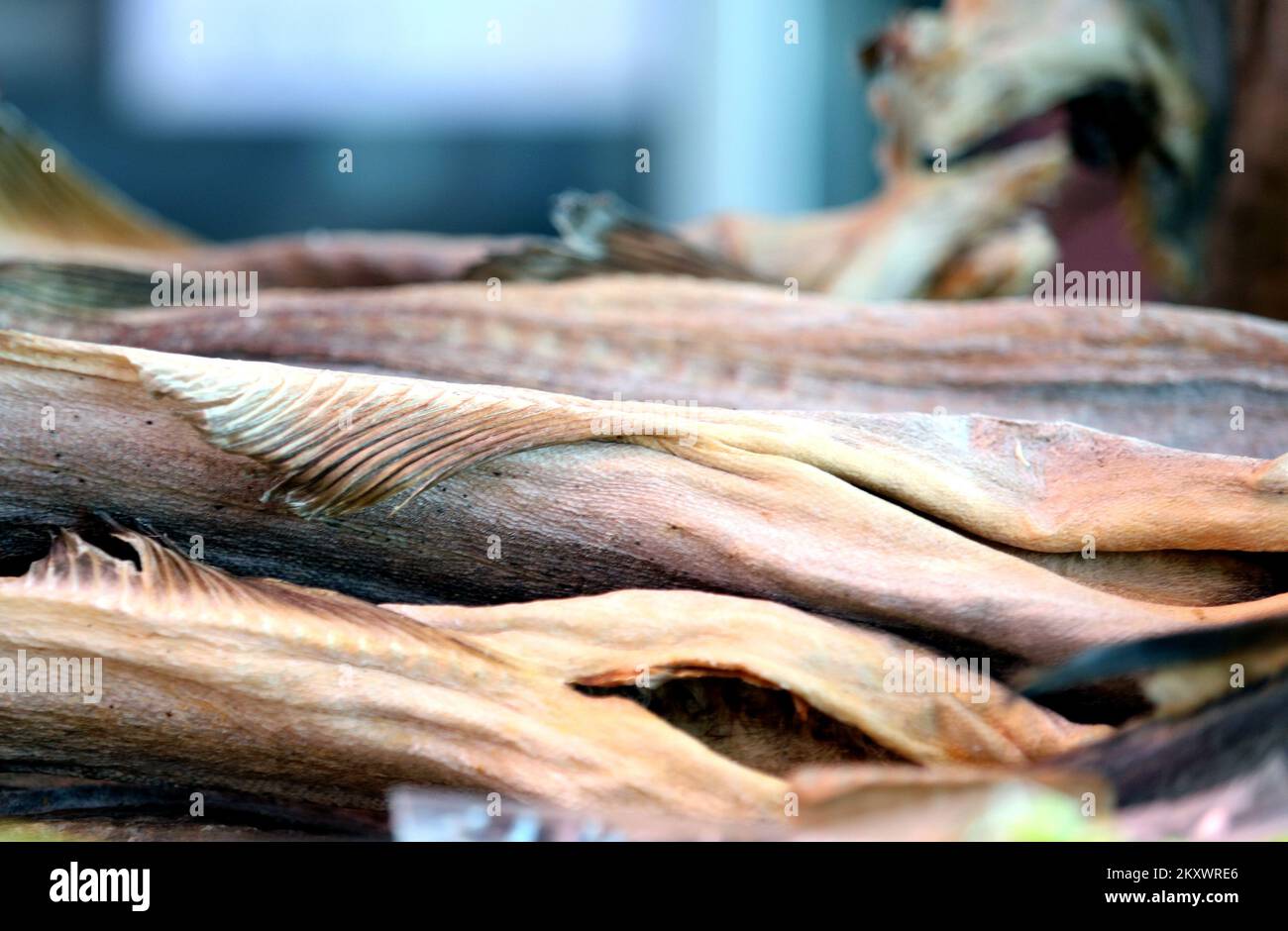 Croatian bakalar hi-res stock photography and images - Alamy