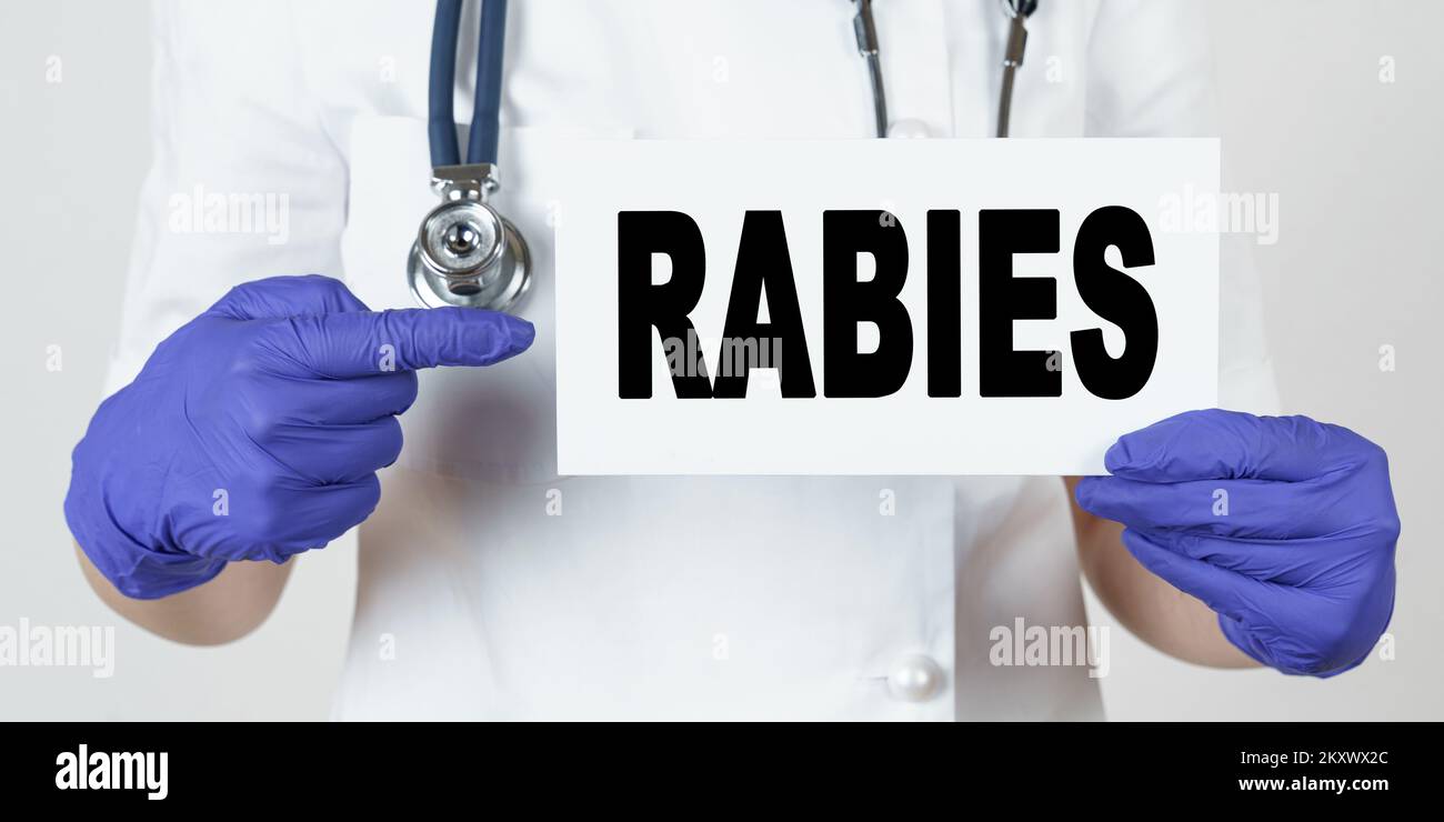 Medicine and health concept. The doctor points his finger at a sign ...