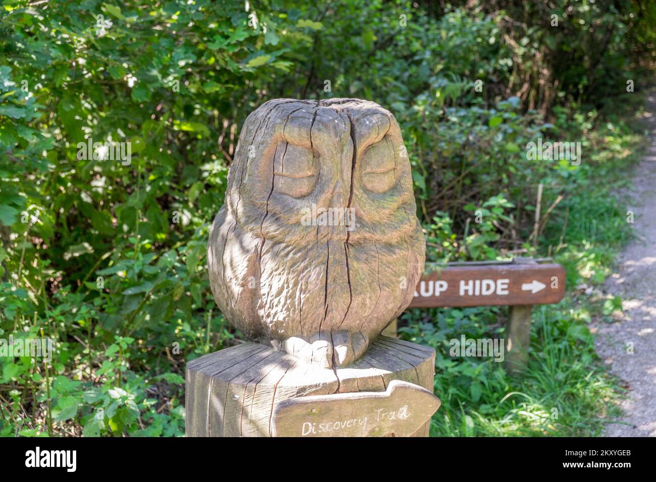 a wood carving of an owl Stock Photo