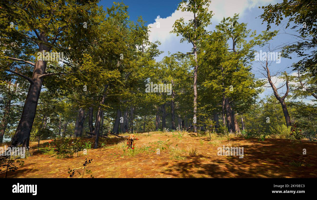 3D rendering. An immersive natural environment. Landscape to illustrate ...