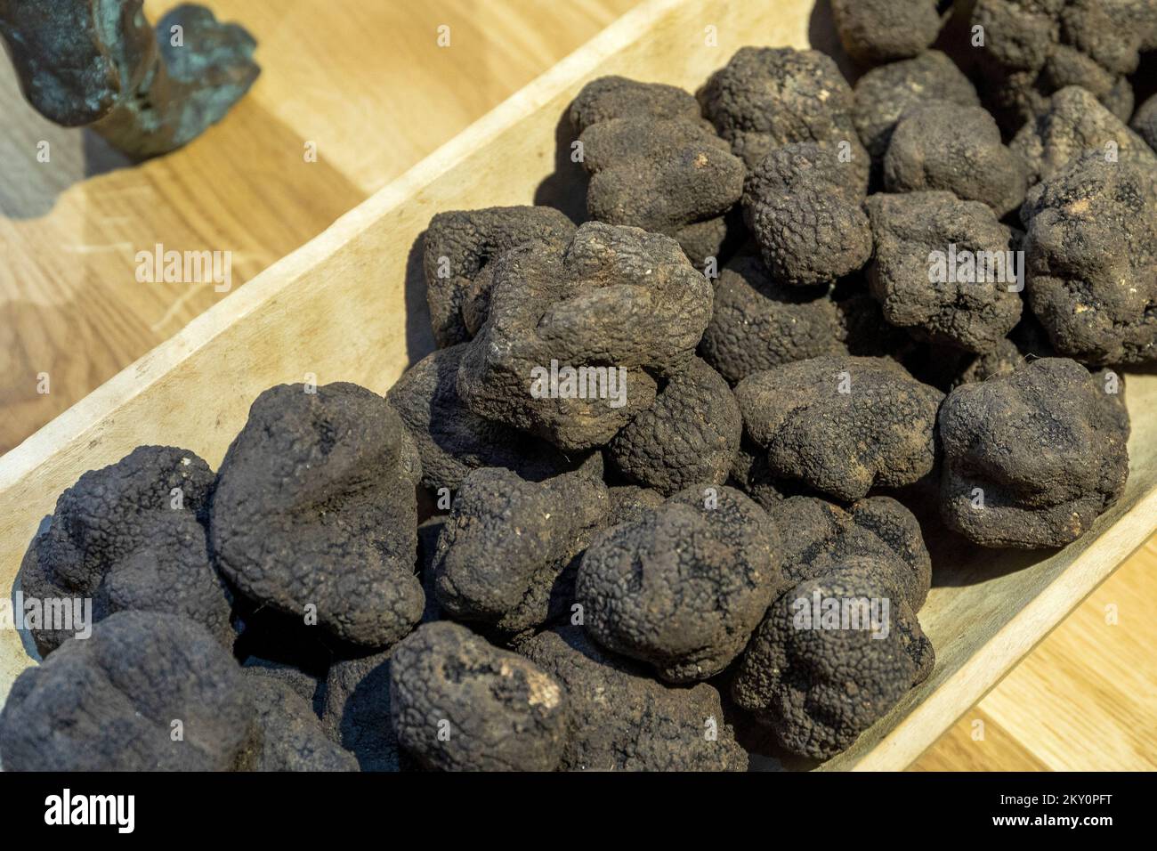 A tray with black truffles can be seen in the truffle museum. The first