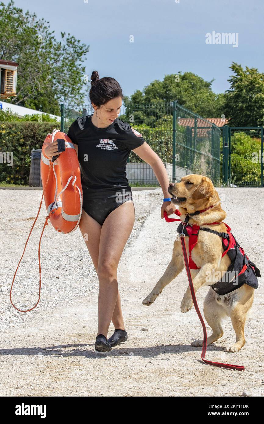 Rescue dog exercises held on Bi-Dog Beach, where owners and their dogs ...