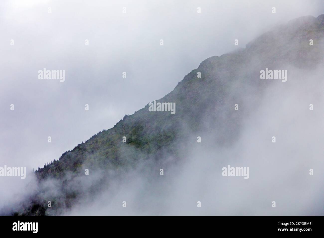 Foggy cloudy weather; Valdez Arm; Prince William Sound; Alaska; USA