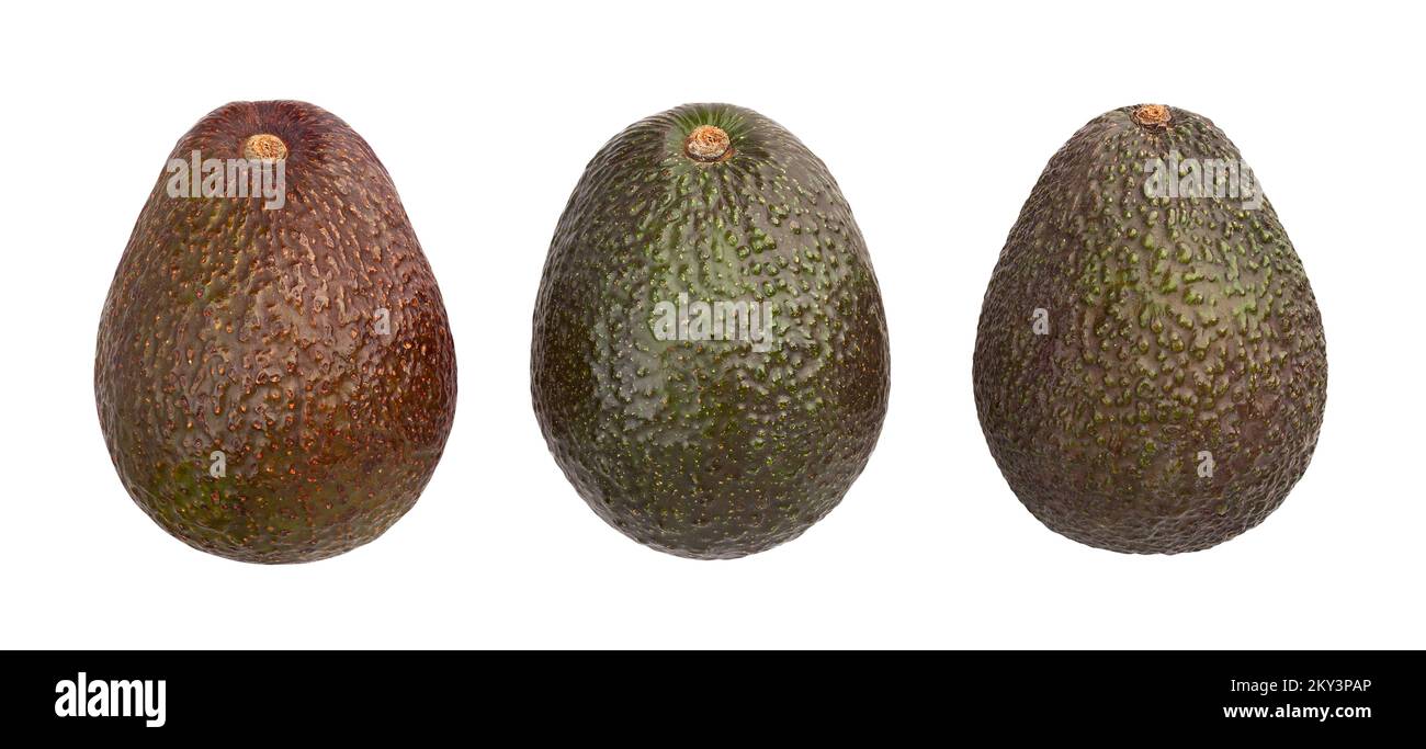 hass avocado path isolated on white Stock Photo